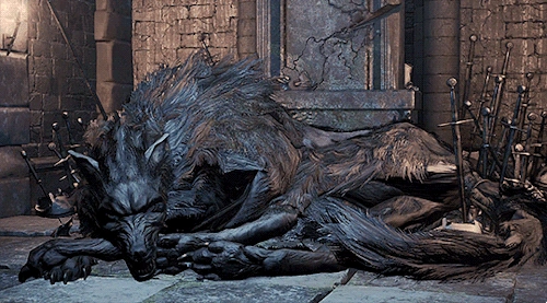 Viejo Lobo de Farron